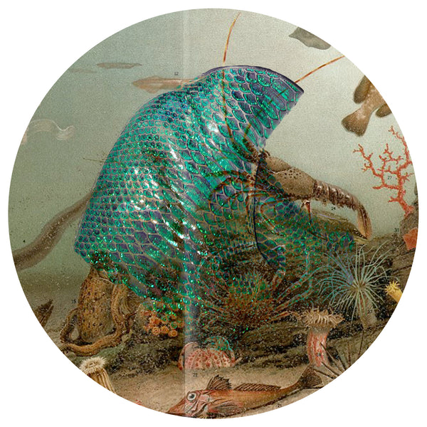 Collage of Mermaid Style Sea Green Platform Wedge Boots in Genuine Python Leather in front of vintage under sea illustration